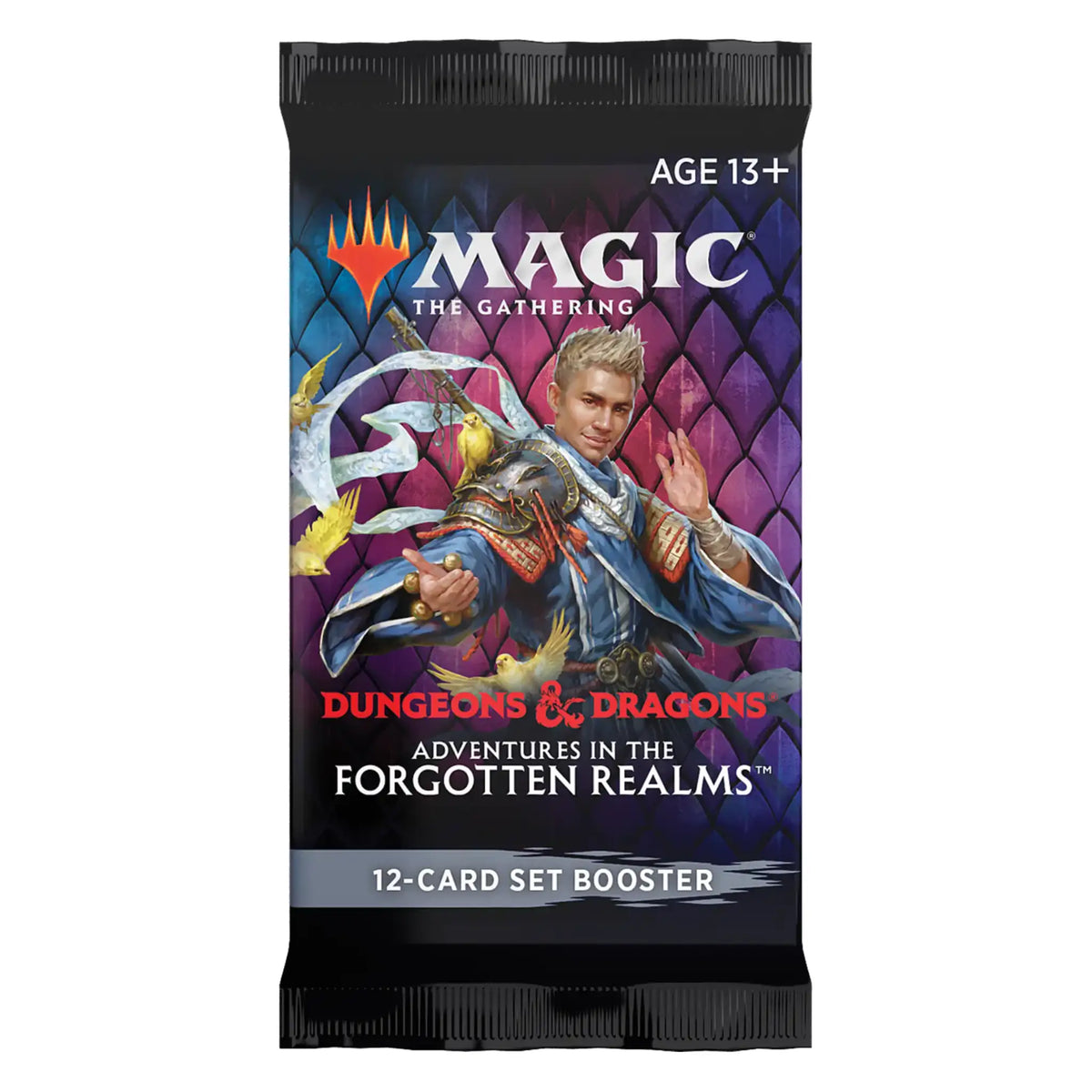 Magic: The Gathering - Adventures in The Forgotten Realms Set Booster Pack - EN
