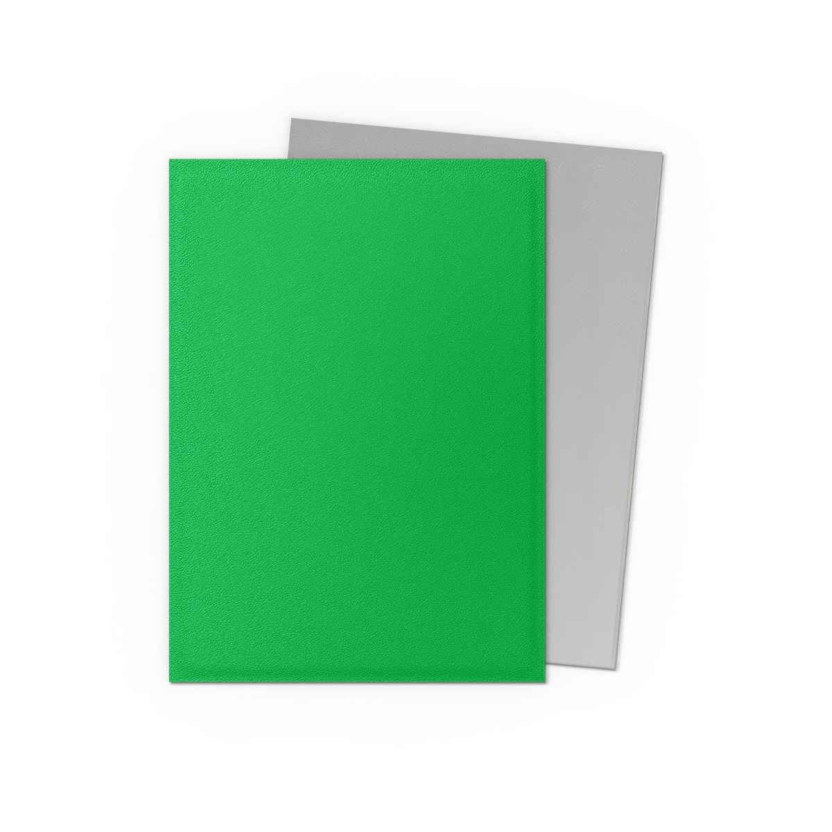 Dragon Shield Protège cartes – Dual Matte Vert pomme & Argent (100 pièces)