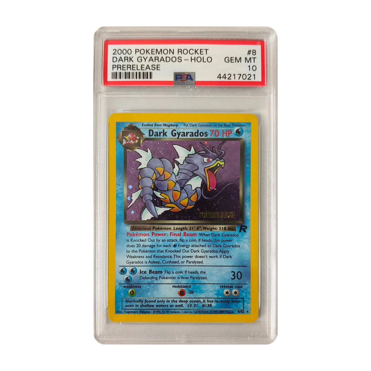 Pokémon - Dark Gyarados #8 (Team Rocket Prerelease) – PSA 10 Gem Mint